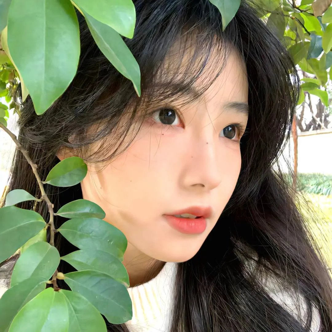 复制柔伊